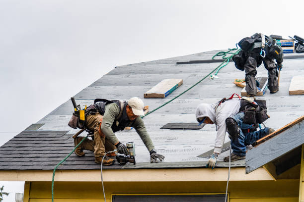 Professional Gutter Installation technician working in Letohatchee, AL